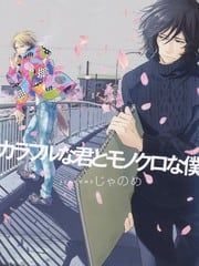 亮眼的你与平凡的我