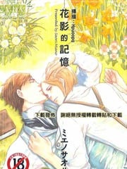花影的记忆