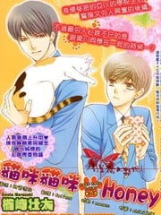 猫咪猫咪Honey