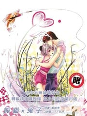 熊猫X兔子之纯情（？）世界