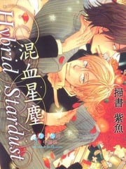 Hybrid Stardust 混血星尘