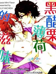 黑醋栗薄荷的滋味