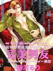 完美男友