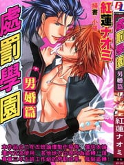 处罚学园男婚篇