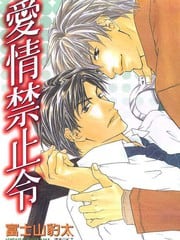 爱情禁止令