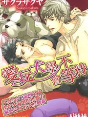 爱玩犬学不会等待