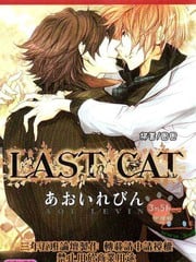 LAST CAT