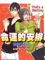 命运的安排