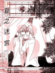 夏之迷宫