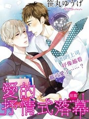 爱的抒情式落幕