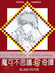 不可思议猫奇潭