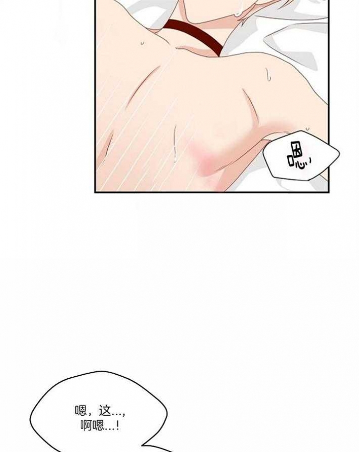 欧米伽的恋爱(Ⅰ＋Ⅱ)漫画,第79话15图