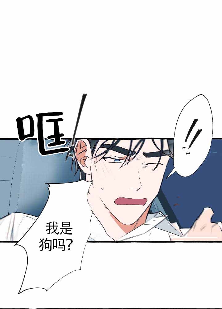 完美的逮捕漫画,第19话5图